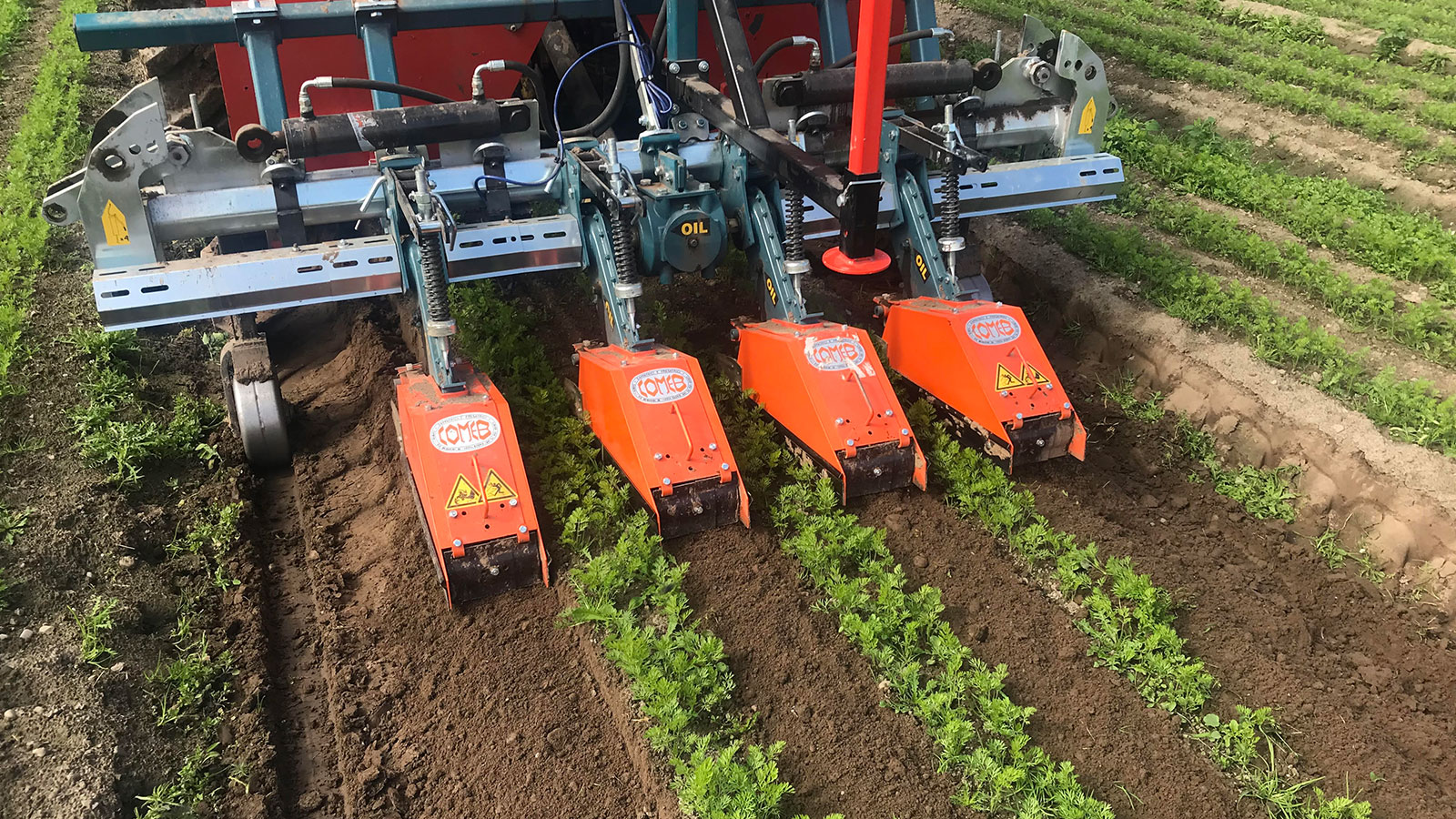 Edwards Farm Machinery - Comeb Inter Row Rotavator